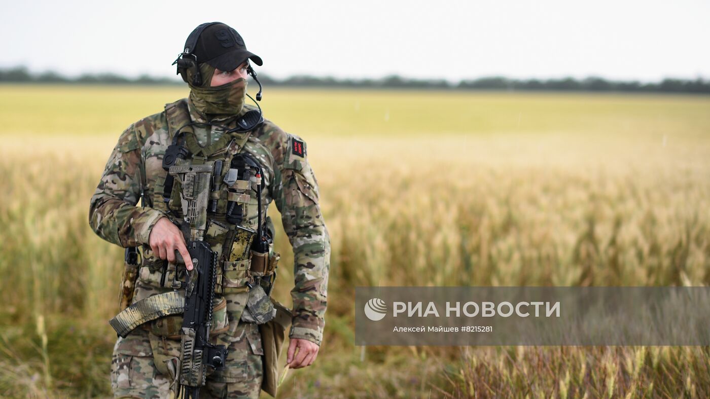 Пшеничные поля в Запорожской области