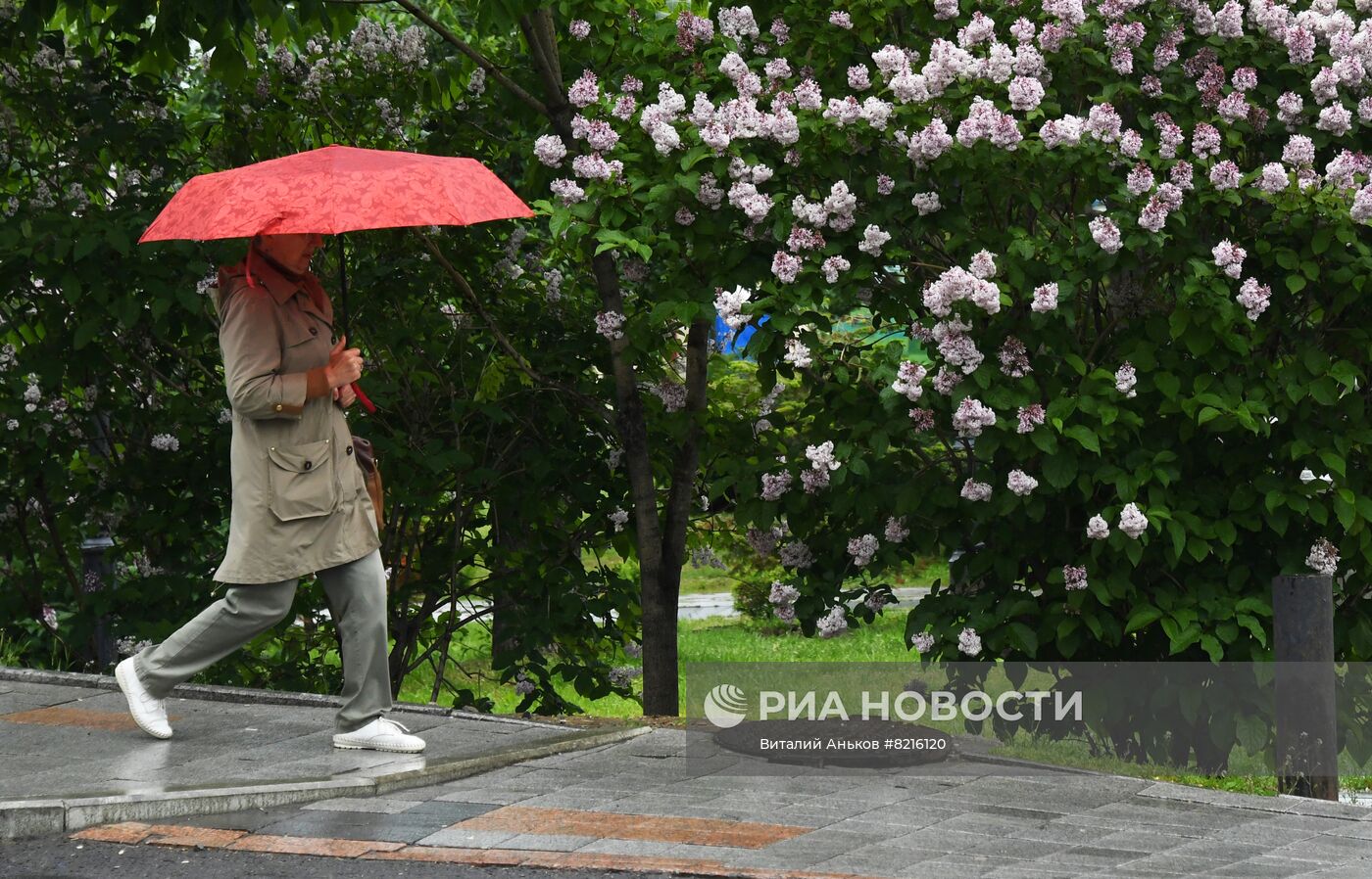 Повседневная жизнь во Владивостоке