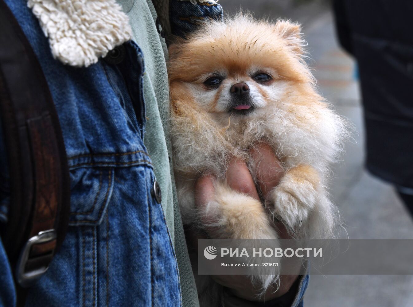 Повседневная жизнь во Владивостоке