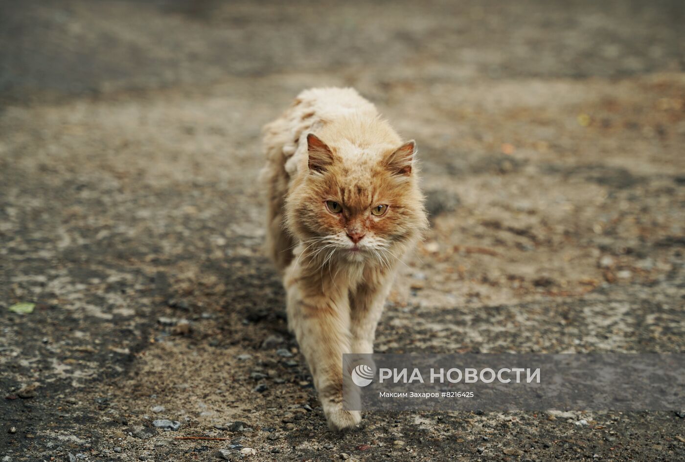 Эвакуация мирных жителей из Северодонецка в ЛНР