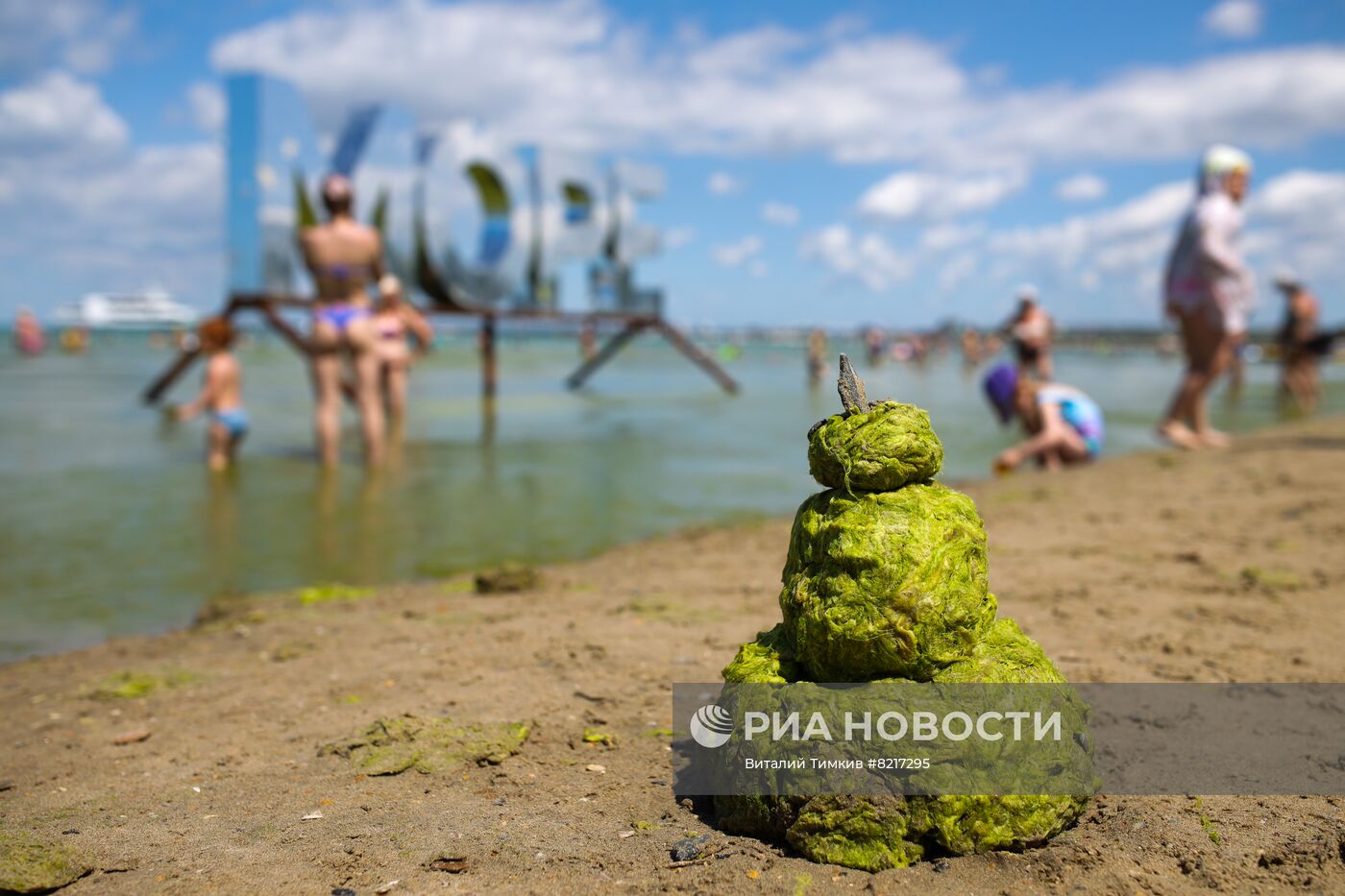 Цветение водорослей в Краснодарском крае