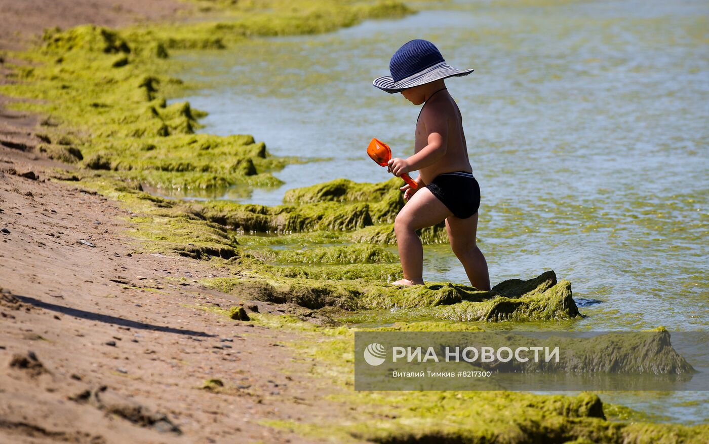 Цветение водорослей в Краснодарском крае