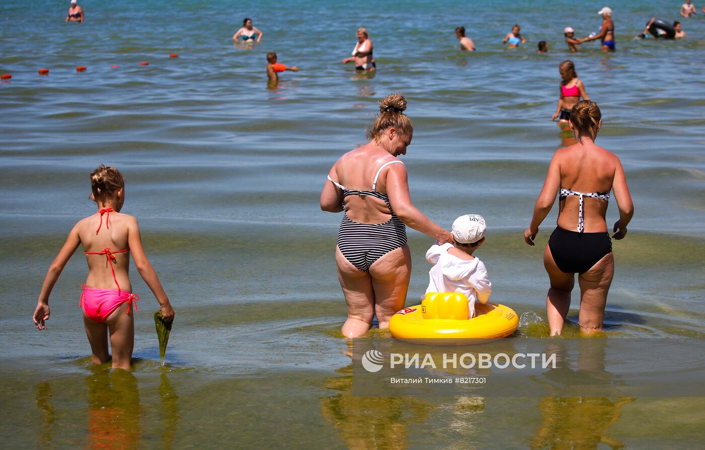 Цветение водорослей в Краснодарском крае