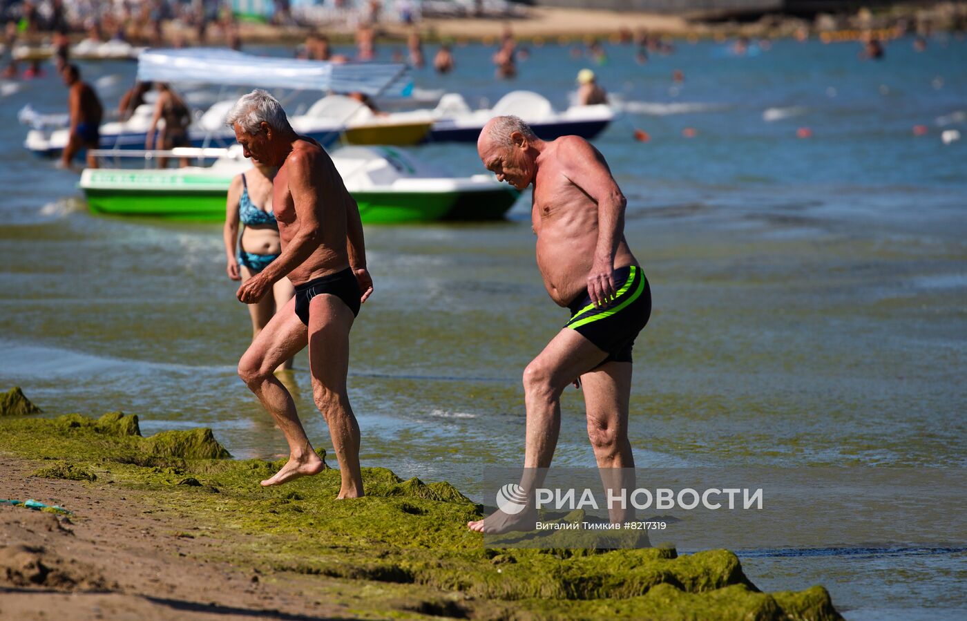 Цветение водорослей в Краснодарском крае