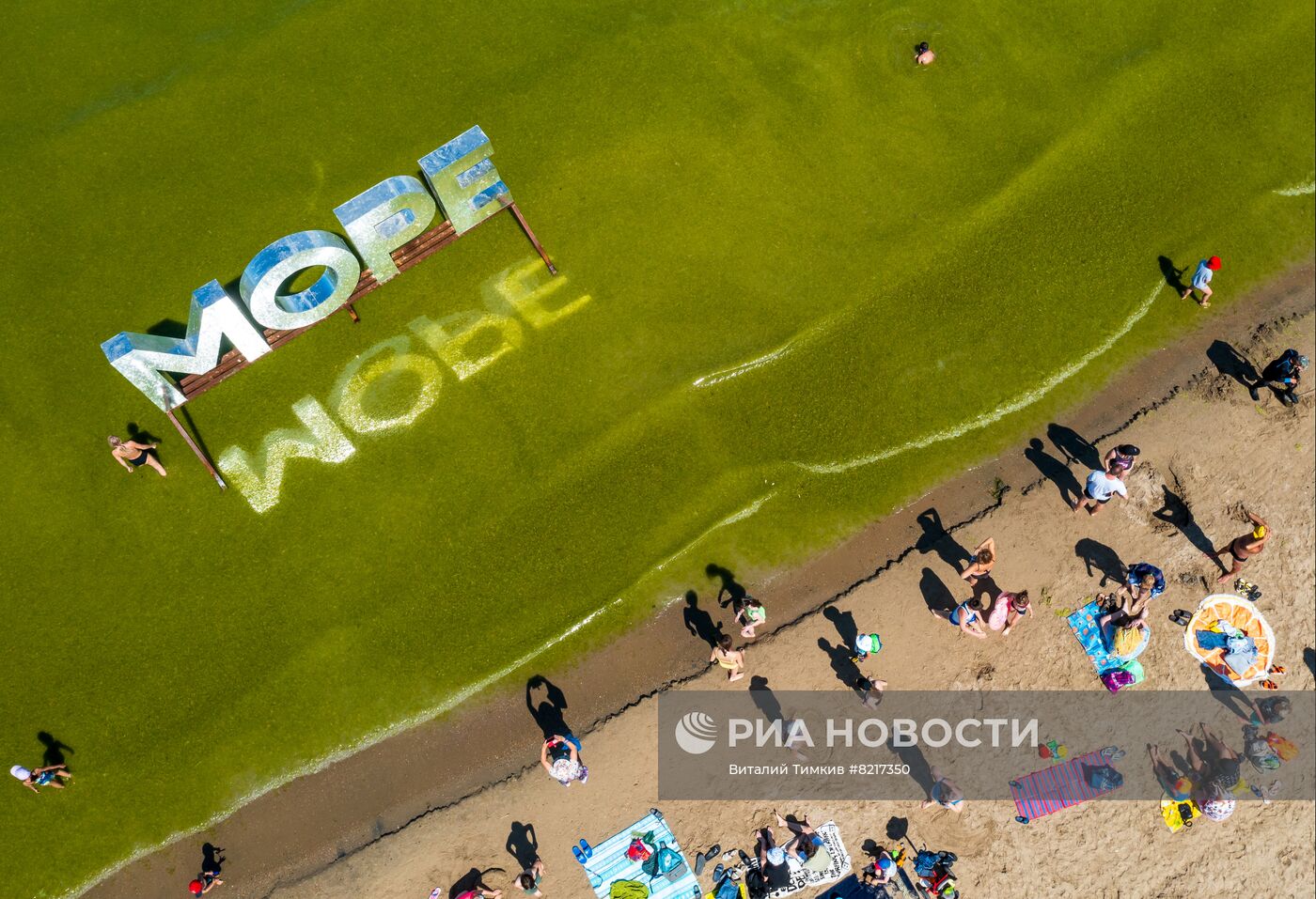 Цветение водорослей в Краснодарском крае