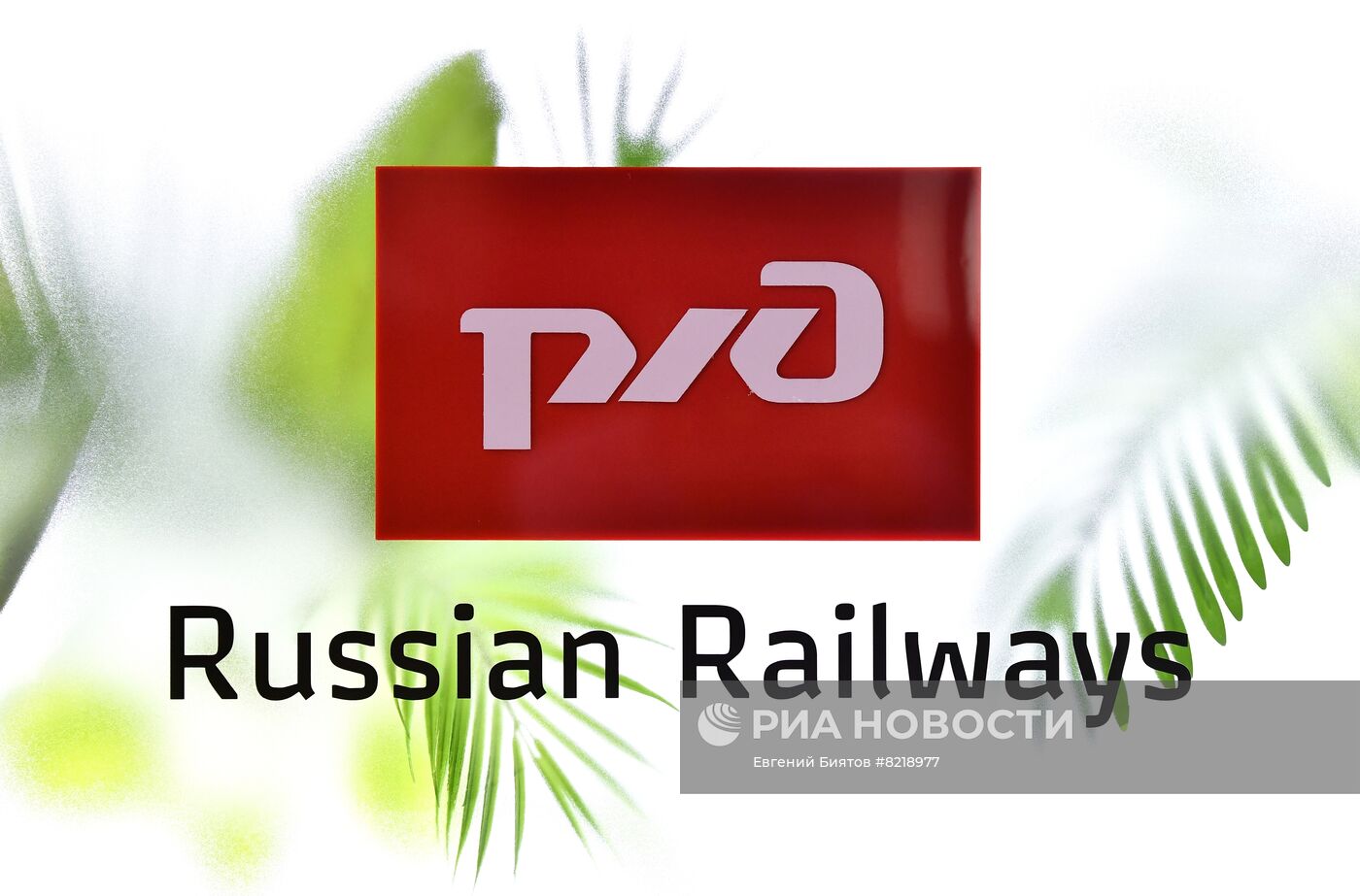 ПМЭФ-2022. Работа форума. День четвертый