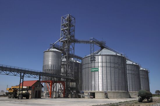 Производство риса в Дагестане