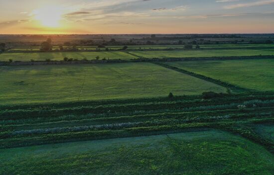 Производство риса в Дагестане