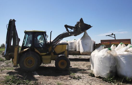 Производство риса в Дагестане