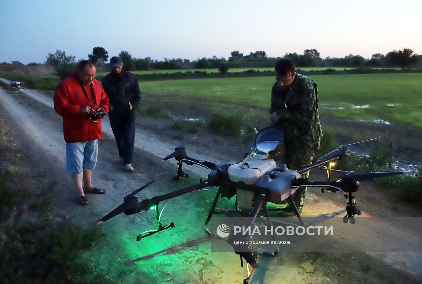 Производство риса в Дагестане