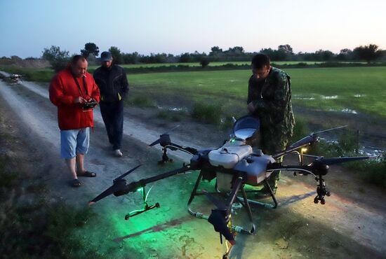 Производство риса в Дагестане