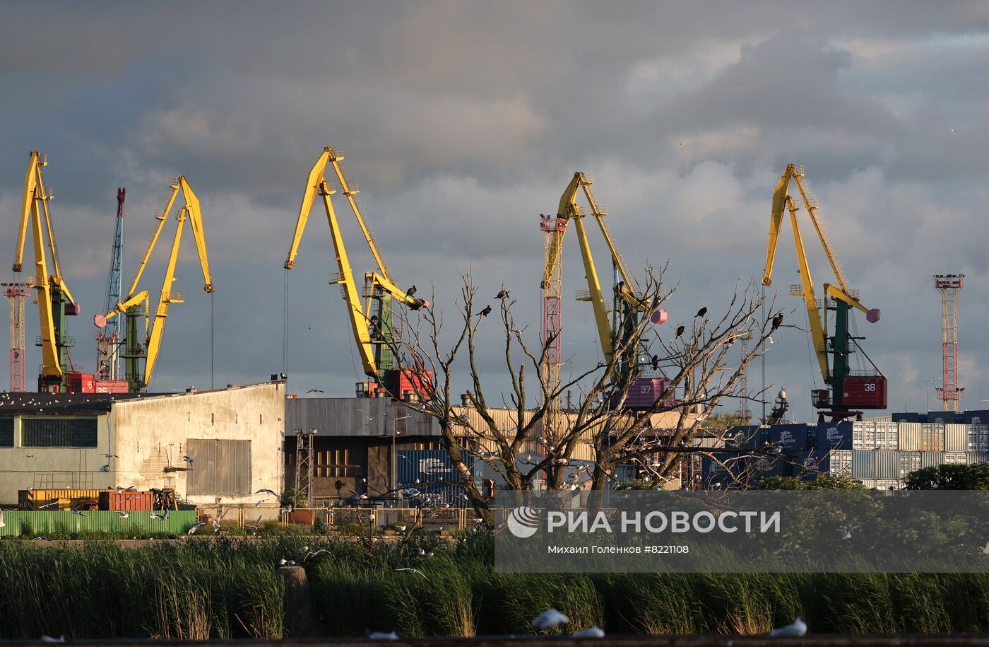 Порт в Калининграде