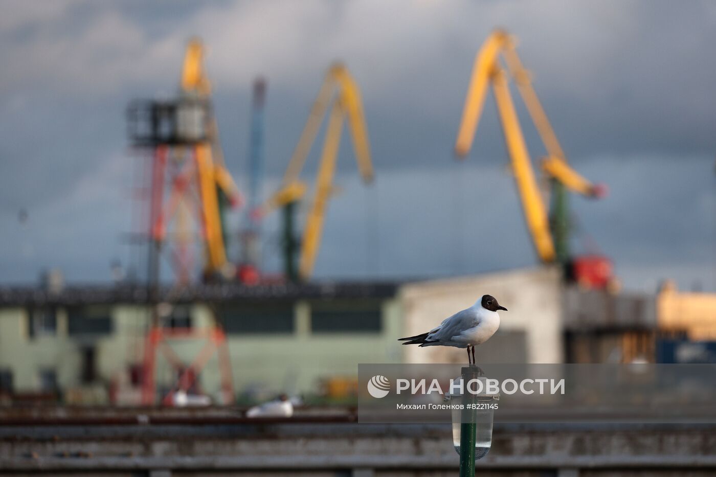 Порт в Калининграде