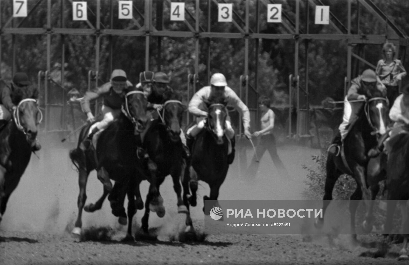 Терский конный завод