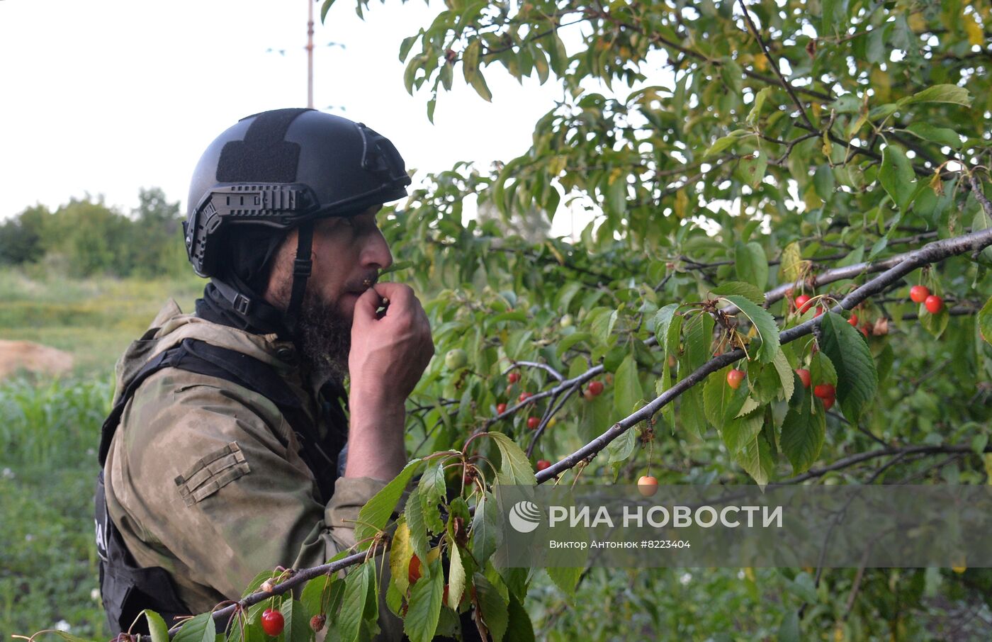 Бойцы чеченского отряда "Ахмат" в Золотом-2 и Камышевахе в ЛНР