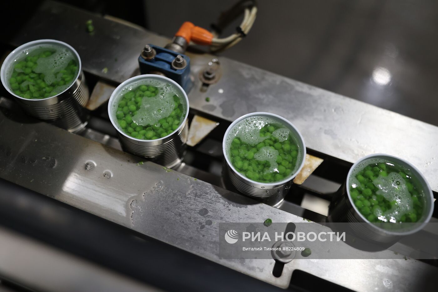 Производство консервированного горошка в Краснодарском крае