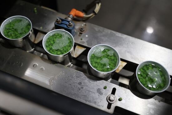 Производство консервированного горошка в Краснодарском крае