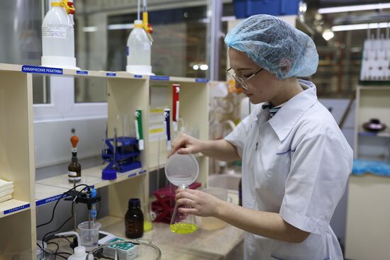 Производство консервированного горошка в Краснодарском крае