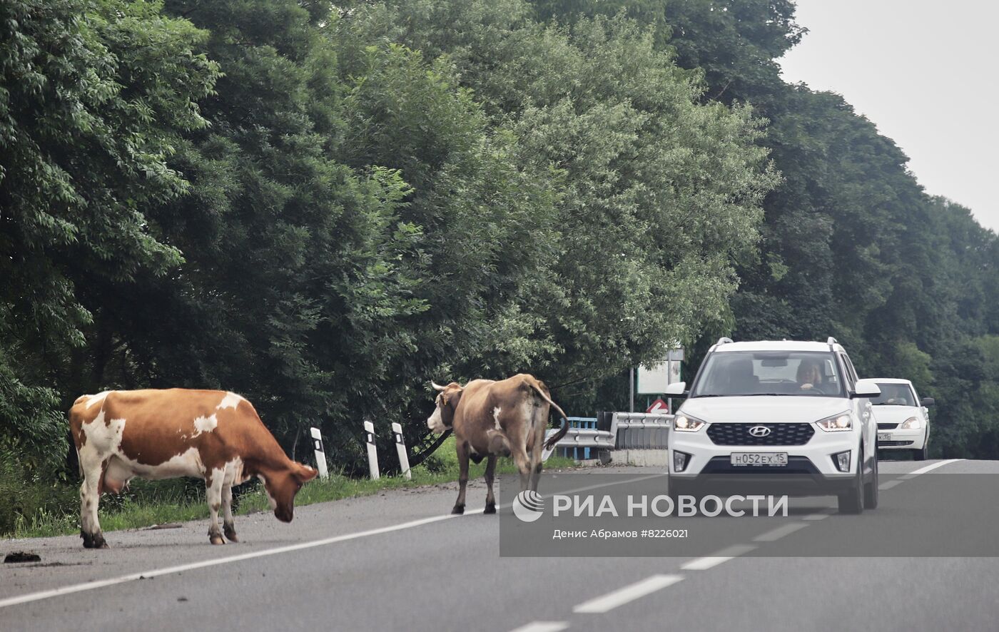 Открытие транскавказской магистрали после камнепада