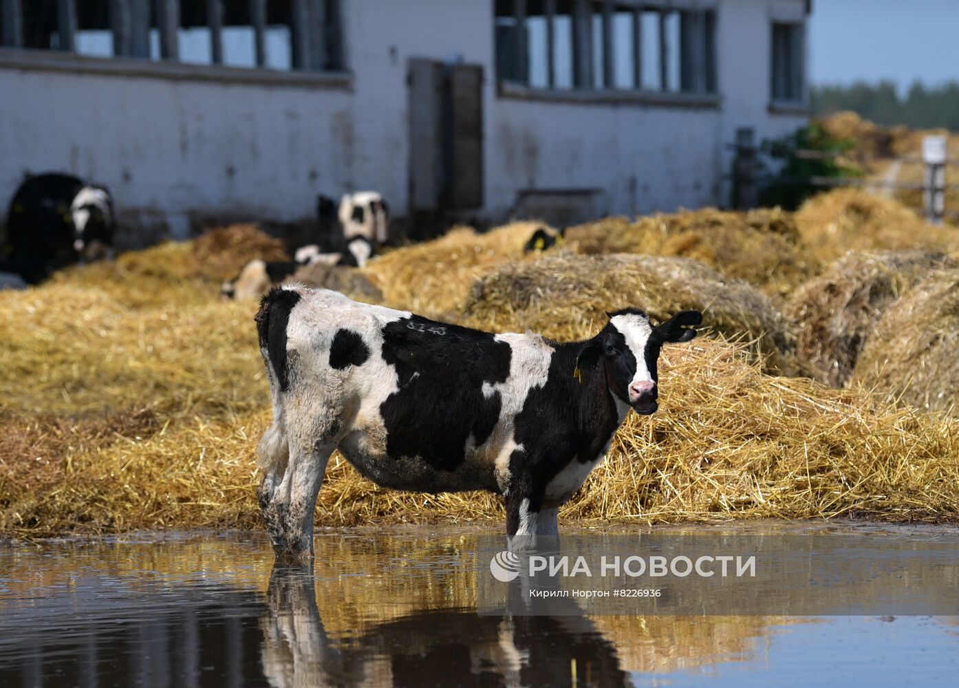 Мирная жизнь в одном из поселков Харьковской области