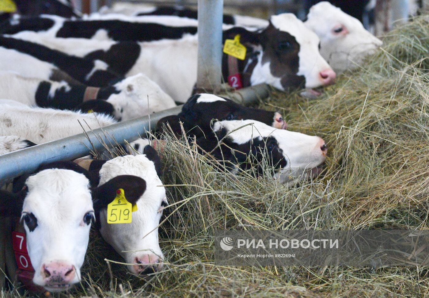 Мирная жизнь в одном из поселков Харьковской области