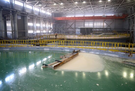 Производство калийных удобрений в Волгоградской области