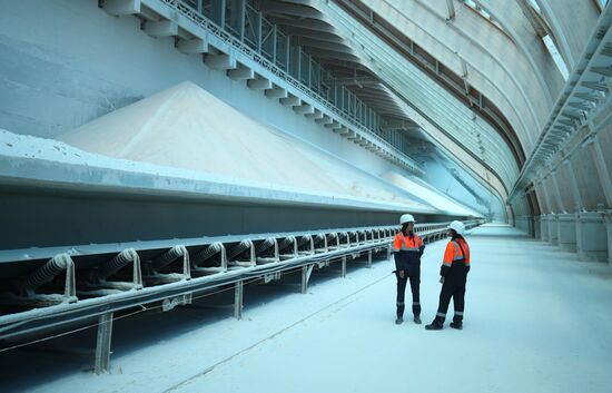 Производство калийных удобрений в Волгоградской области