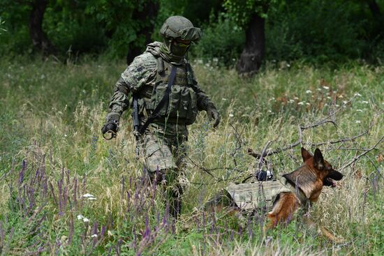 Работа саперов по разминированию станции водоочистки в Мариуполе