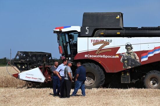 Уборка урожая пшеницы на юге России