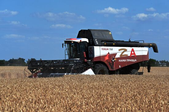 Уборка урожая пшеницы на юге России