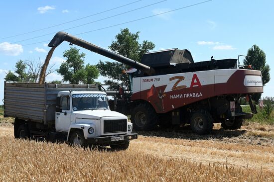 Уборка урожая пшеницы на юге России