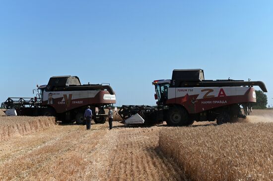 Уборка урожая пшеницы на юге России