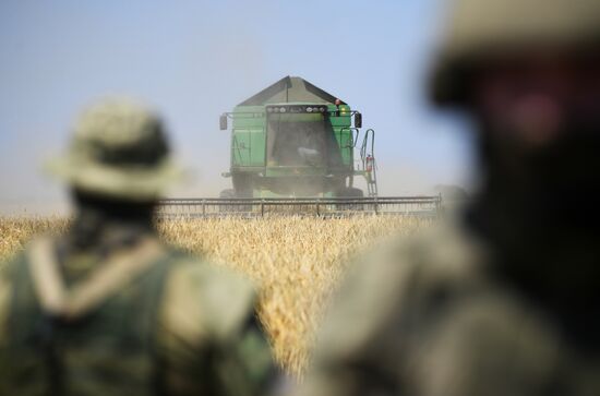 Сбор урожая пшеницы в Запорожской области