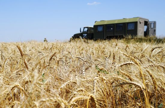 Сбор урожая пшеницы в Запорожской области