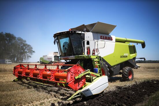 Уборка урожая пшеницы на юге России