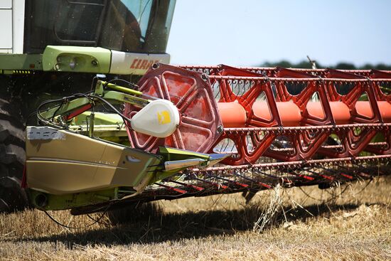 Уборка урожая пшеницы на юге России