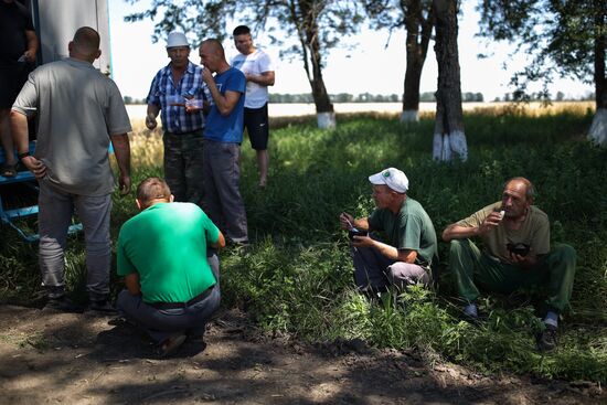 Уборка урожая пшеницы на юге России
