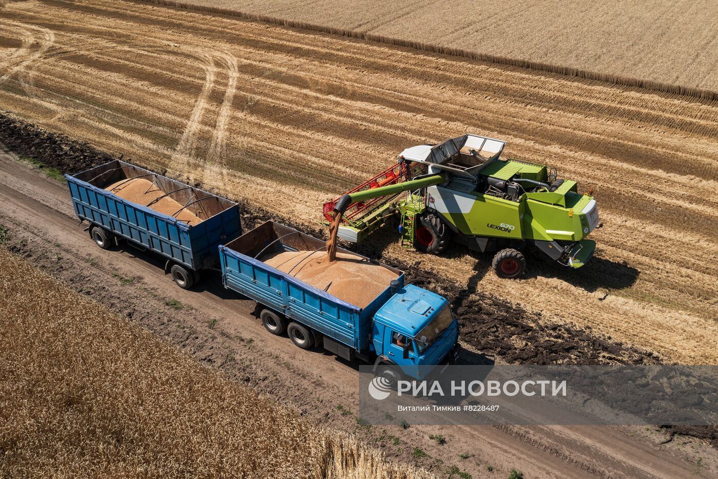 Уборка урожая пшеницы на юге России | РИА Новости Медиабанк