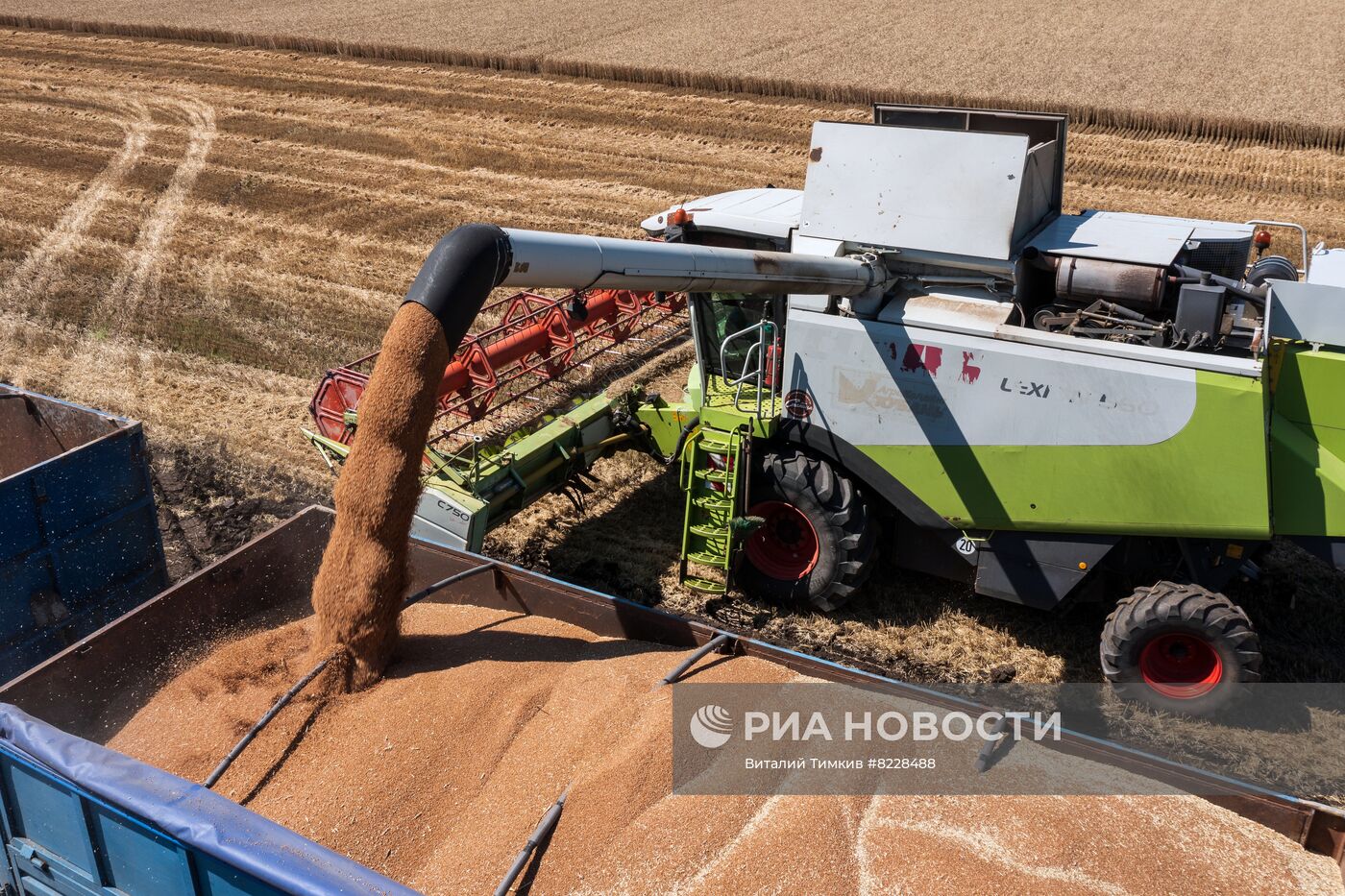 Уборка урожая пшеницы на юге России