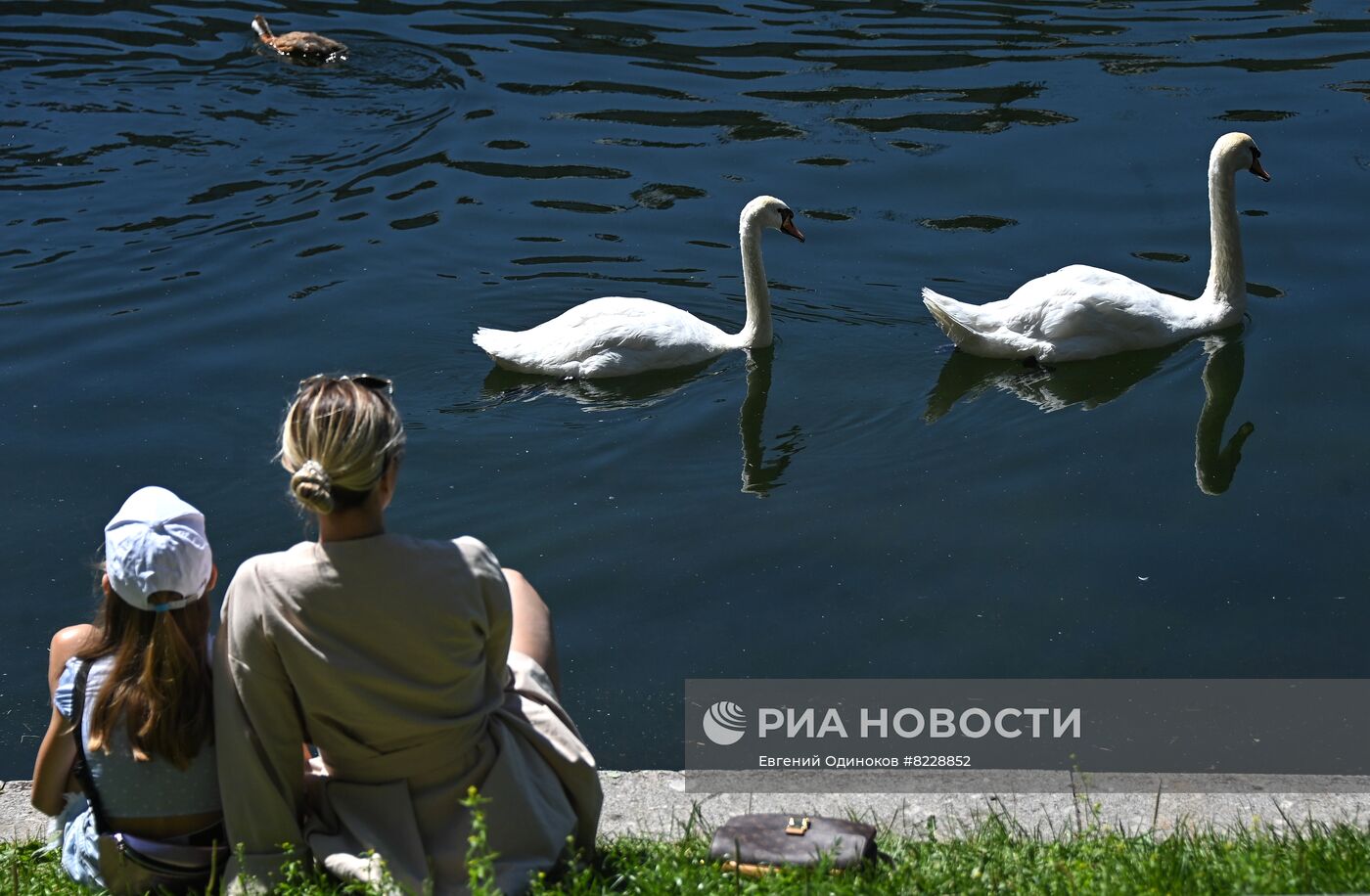 Лето в Москве