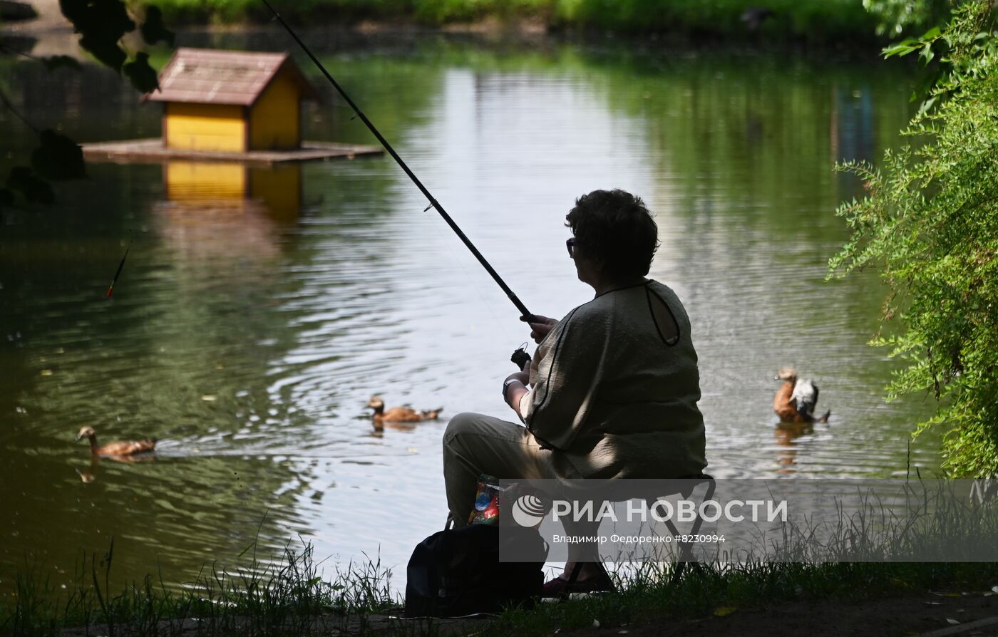 Лето в Москве 