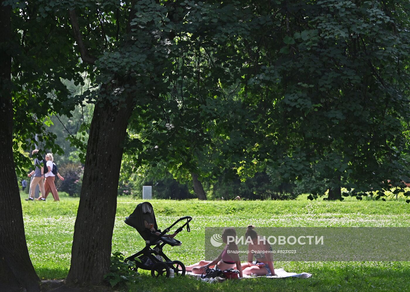 Лето в Москве. Воронцовский парк