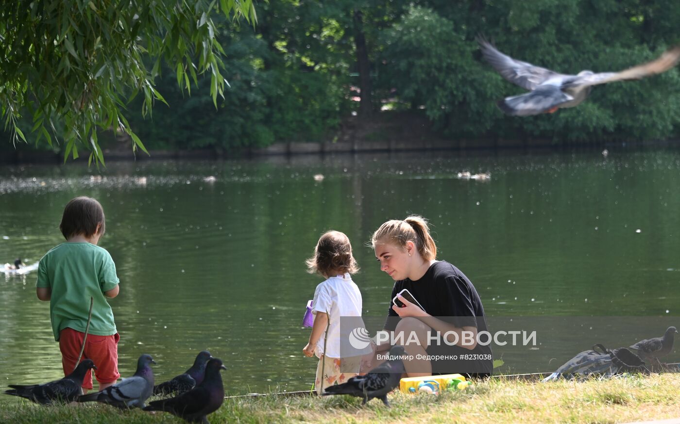 Лето в Москве. Воронцовский парк