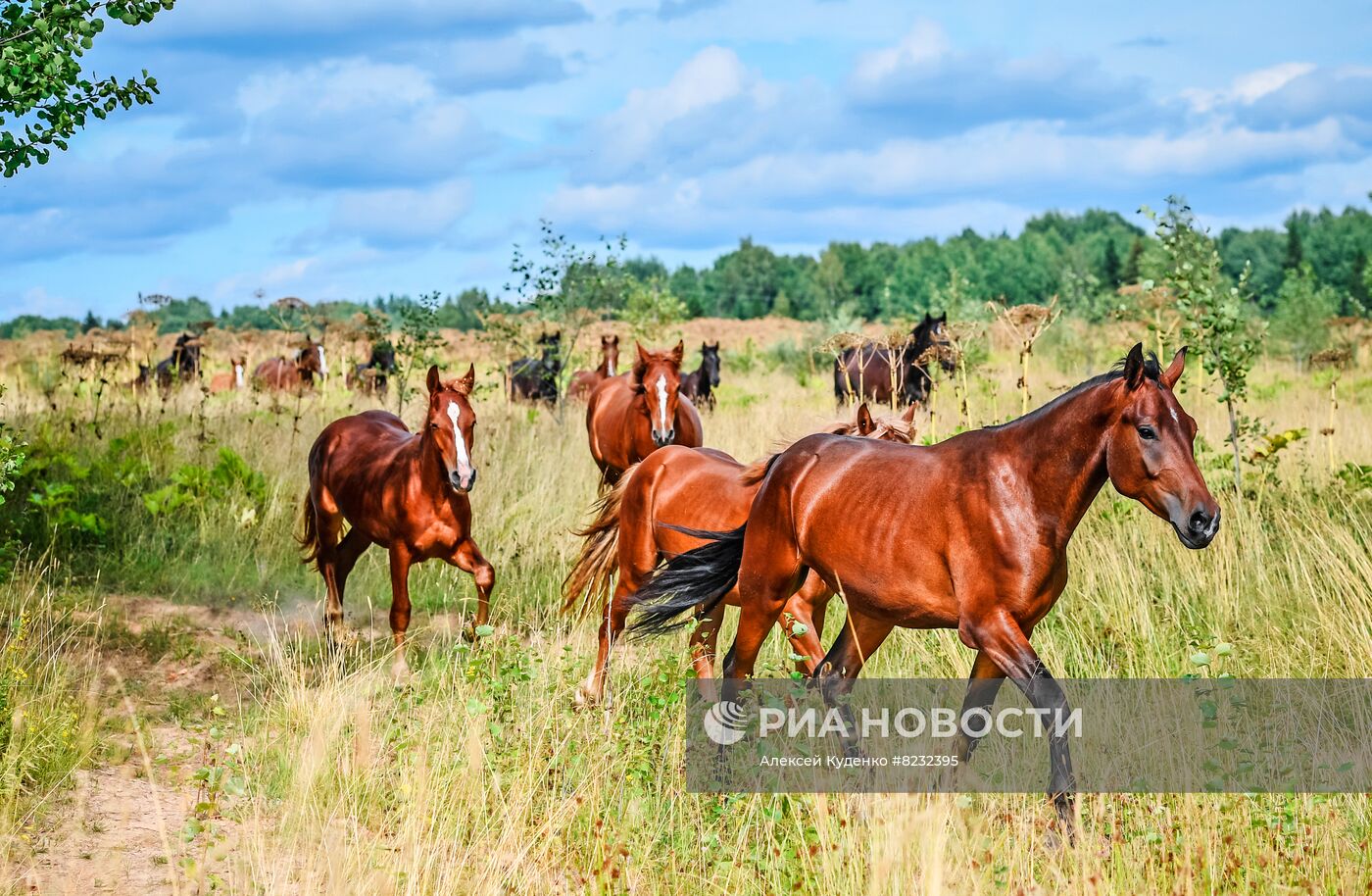 #ОткрываяРоссию. Кострома