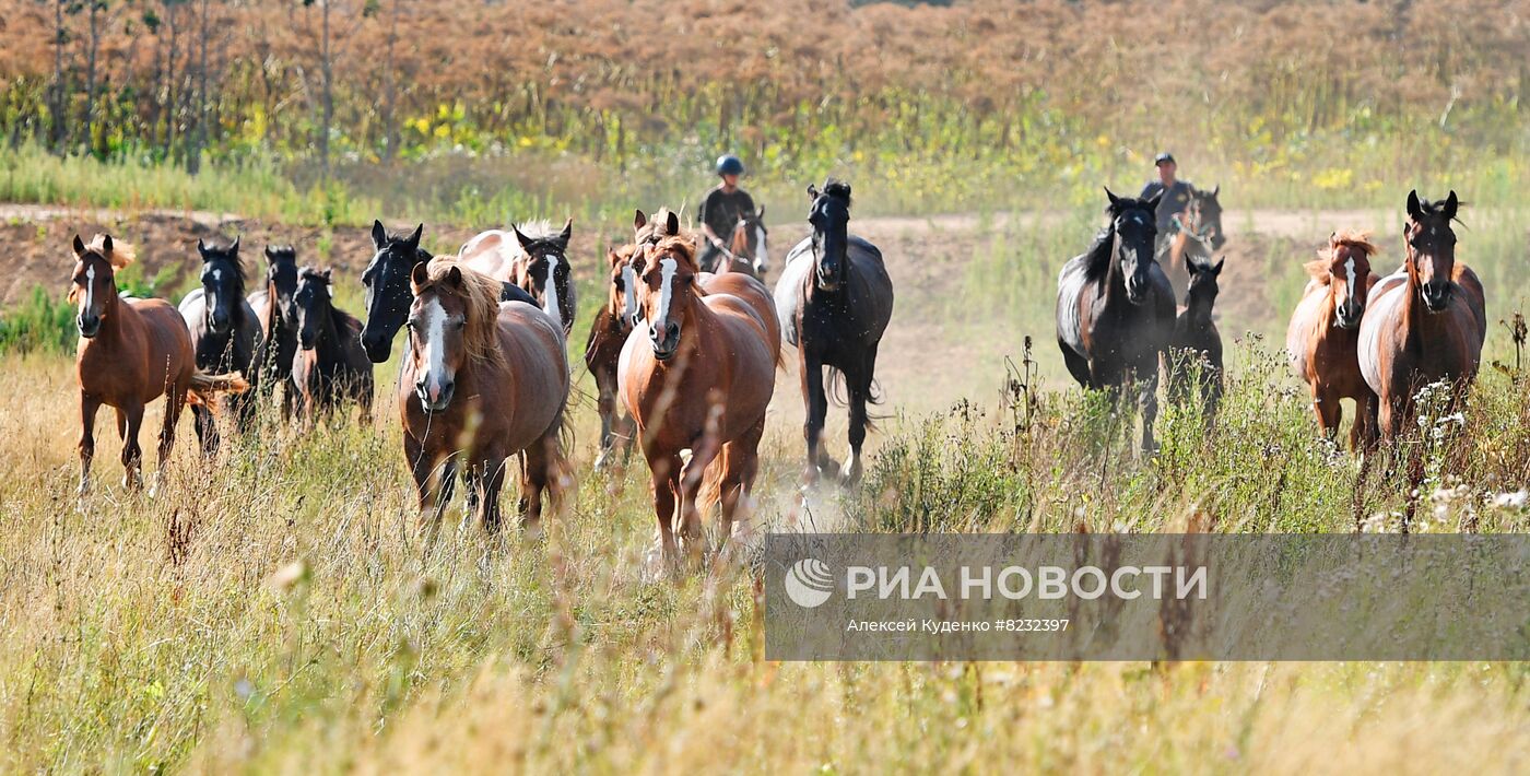 #ОткрываяРоссию. Кострома