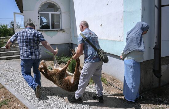 Празднование Курбан-байрама в регионах России