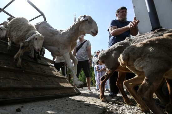 Празднование Курбан-байрама в регионах России