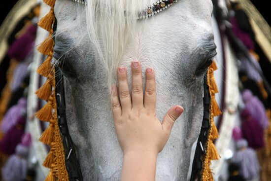 Фестиваль в деревне Федора Конюхова в Тульской области