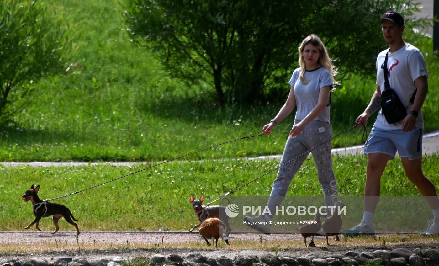 Лето в Москве