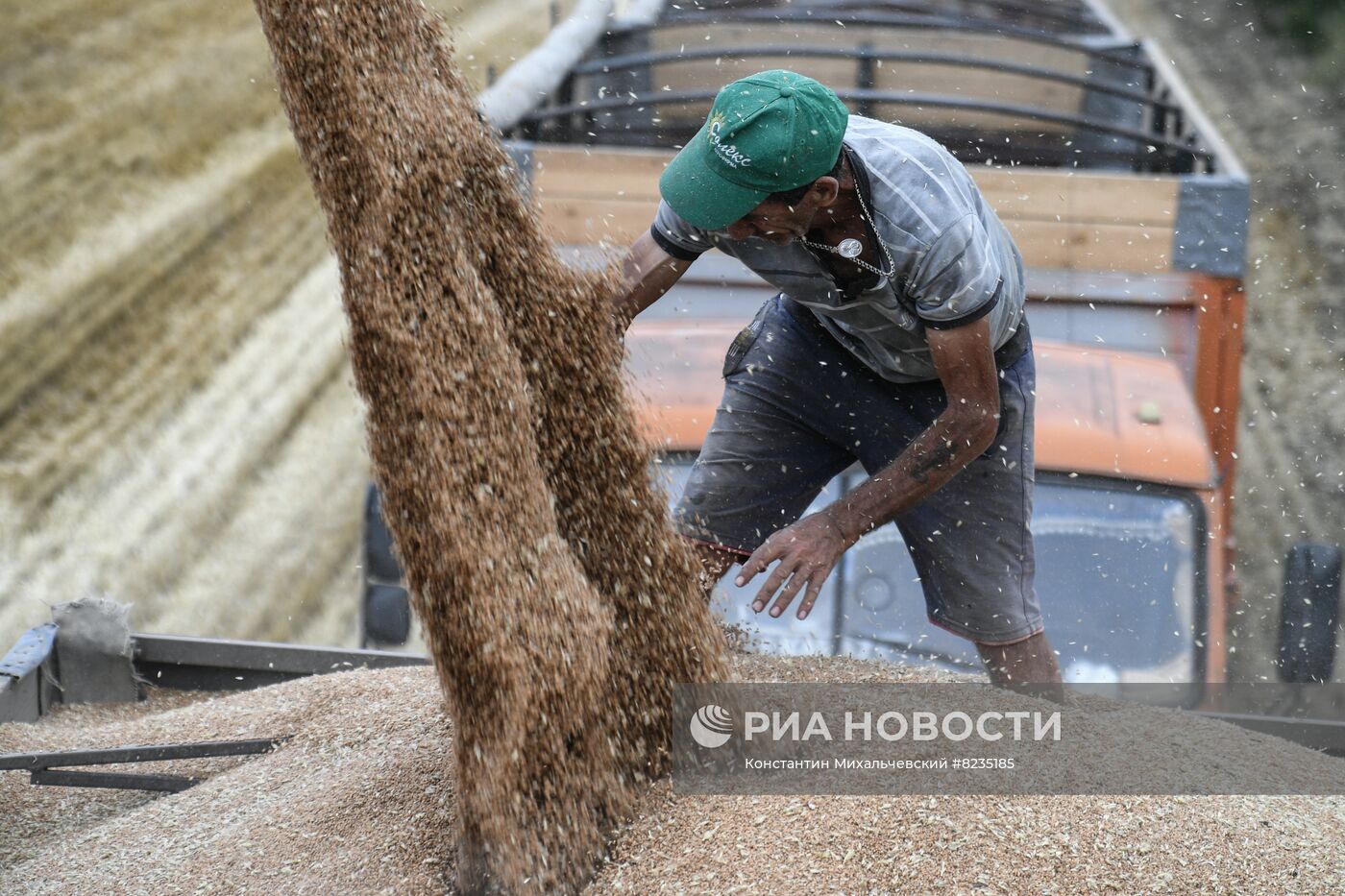 Уборка урожая пшеницы в Крыму